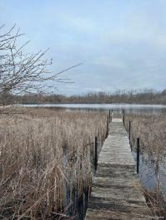 2.12 ACRE LOT Shores Point Drive Brighton, MI 48116