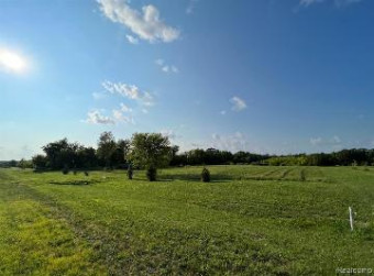 LOT 25 Lauren Lane Dryden, MI 48428