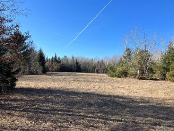 VACANT LAND M-76 West Branch, MI 48661