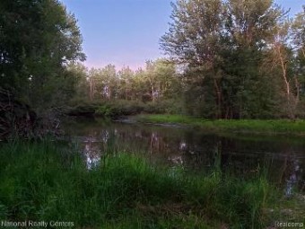 1062 Calcut - Parcel D Lachine, MI 49753