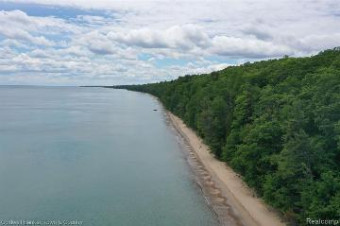 1369 Black Rock Harrisville, MI 48740