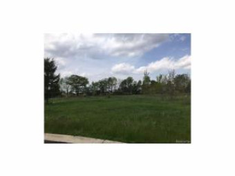 0 Adelines (lot 16) Way Fowlerville, MI 48836