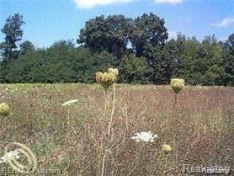 LOT 13 Outback Trail Pinckney, MI 48169