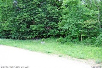 3520 Stagecoach Trail Lot 1 Pigeon, MI 48755