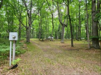 2556 Spruce (lot 991) Farwell, MI 48622