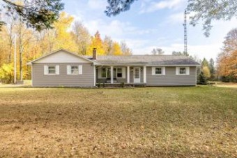 8130 Eleventh Forestville, MI 48434