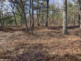 LOT 3 Donny Brook Caseville, MI 48725