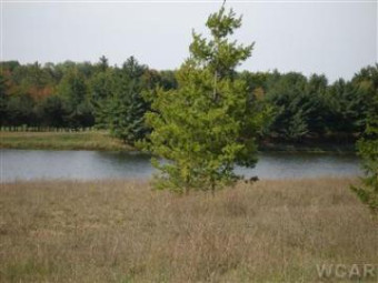 11585 Portstewart Drive 5 Canadian Lakes, MI 49346