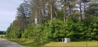 LOT A-3 Meadow View Lane Hart, MI 49420