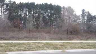 2484 Ulrich Street LOT 84 Stevensville, MI 49127