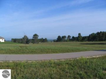 LOT #7 S Meadow Drive Cadillac, MI 49601