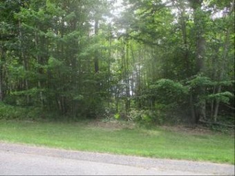 Emerald Ridge   Lot #13 Onekama, MI 49675