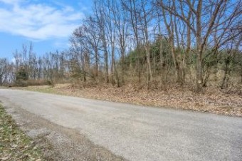 LOT 6 Highfield Road Three Rivers, MI 49093