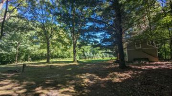 4771 E Kissing Oaks Trail 165, 166 Custer, MI 49405