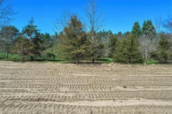 1483 Journey'S Way LOT #1 Hastings, MI 49058