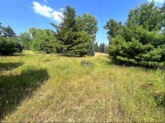 Derby Road PARCEL 10 Stanton, MI 48888