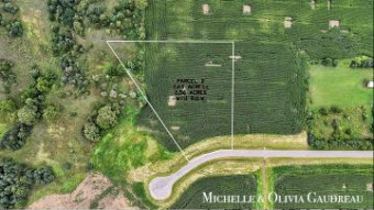 VL Gibson Farms Drive PARCEL 2 Middleville, MI 49333