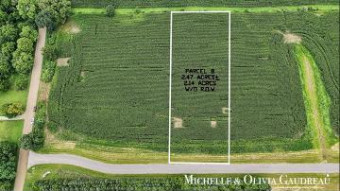 VL Gibson Farms Drive PARCEL 8 Middleville, MI 49333