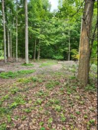 LOT 184 S E Shore Drive Stanton, MI 48888