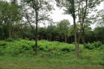 Lot 2 Highfield Road Three Rivers, MI 49093