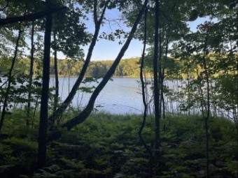 LOT 126 Alpine Drive Reed City, MI 49677