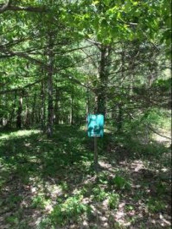 Misty Pines, Lots 16, 17 & 18 Dowagiac, MI 49047