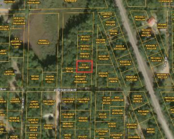 V/L Woodland Park Lots 18, 19 Bitely, MI 49309