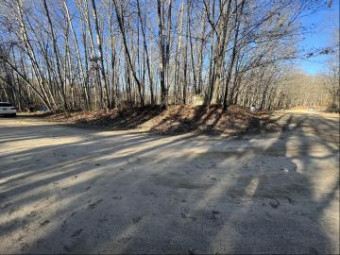 LOT 681 Elm Dr Farwell, MI 48622