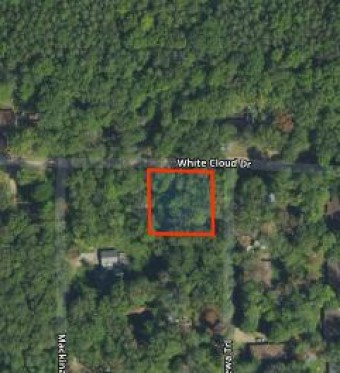 LOT 226 & 227 White Cloud Drive Howard City, MI 49329