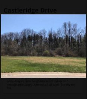 123 Castle Ridge Drive Battle Creek, MI 49015