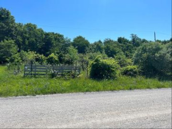 PARCEL A W County Line Road Greenville, MI 48838