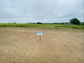 LOT 16 High Ridge Court Freeport, MI 49325