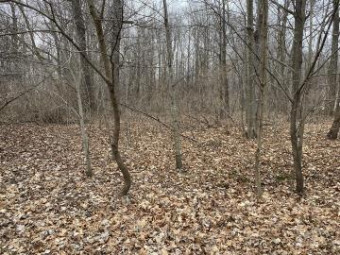 LOT 182 East Shore Drive Stanton, MI 48888