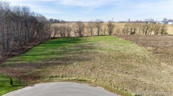 LOT 4 Calming Meadows Court Middleville, MI 49333