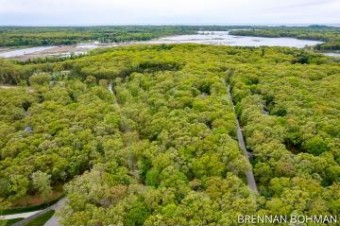 Gesh Trail, Lot 1 Saugatuck, MI 49453