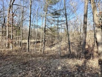 LOT 1 V/L W Fremont Street Newaygo, MI 49337