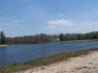 6609 Donegal Court Canadian Lakes, MI 49346