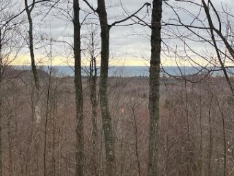 Silver Vista LOT 2 Mears, MI 49436