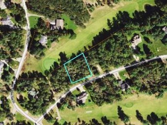 LOT 29 White Pine Drive Cadillac, MI 49601