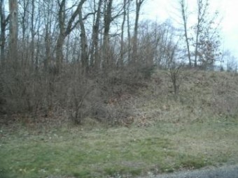 0 Drew Drive LOT 21 Niles, MI 49120