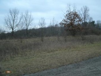 0 Drew Drive LOT 22 Niles, MI 49120