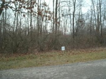 0 Drew Drive LOT 31 Niles, MI 49120