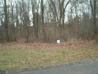 0 Echo Valley Drive LOT 27 Niles, MI 49120