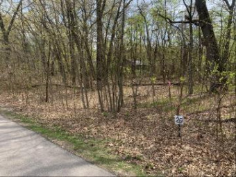 29 Fairway Drive LOT 29 New Buffalo, MI 49117