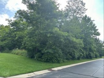 255 Northbridge Court LOT 12 Benton Harbor, MI 49022