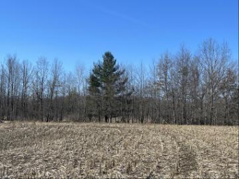 4524 22 Mile Road Ne PARCEL 3 Sand Lake, MI 49343