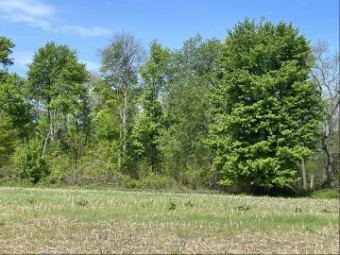 4514 22 Mile Road Ne PARCEL 1 Sand Lake, MI 49343