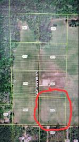 LOT 22 S Sullivan Lane Croton, MI 49337