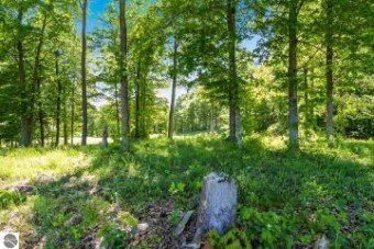 004 Heather Ridge Trail Beulah, MI 49617