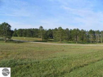 LOT 7 S Meadow Drive LOT 7 Cadillac, MI 49601